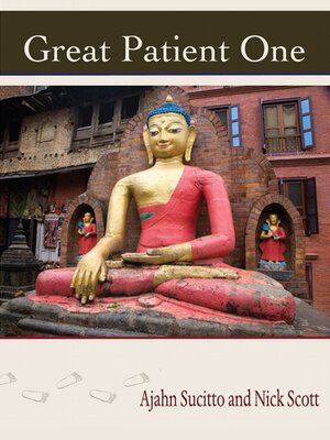 cover image of Great Patient One